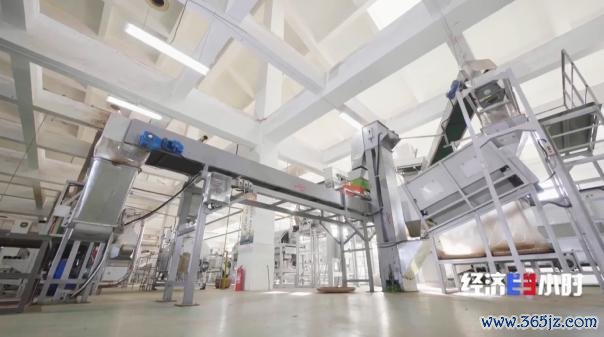 中国事寰球最大的抹茶坐褥国!宇宙四分之一的抹茶产自这里