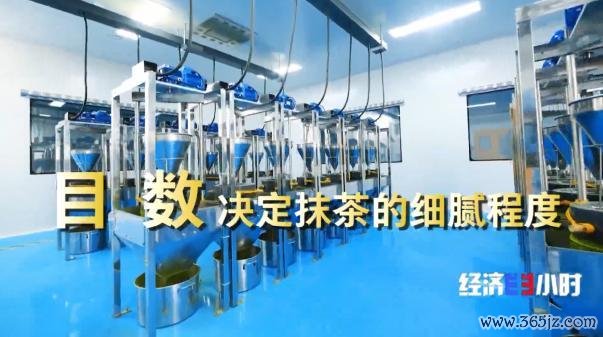 中国事寰球最大的抹茶坐褥国!宇宙四分之一的抹茶产自这里