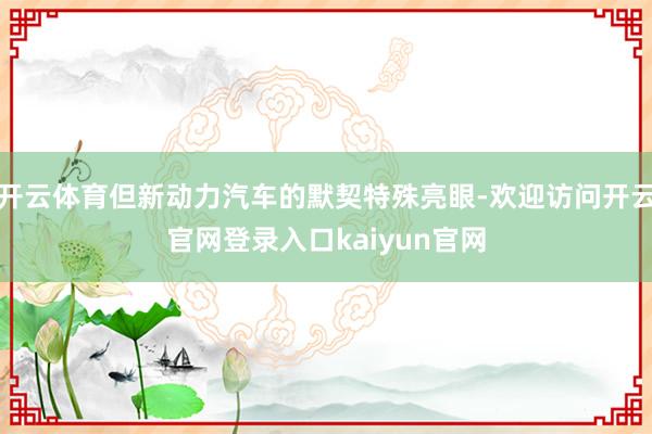 开云体育但新动力汽车的默契特殊亮眼-欢迎访问开云官网登录入口kaiyun官网
